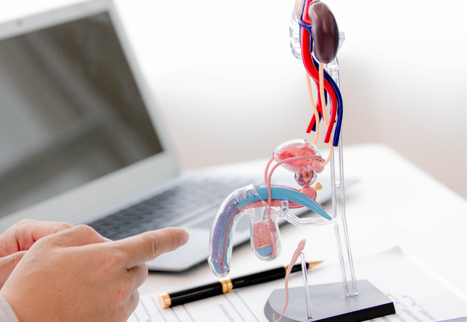 Inflatable penile prosthesis (IPP)